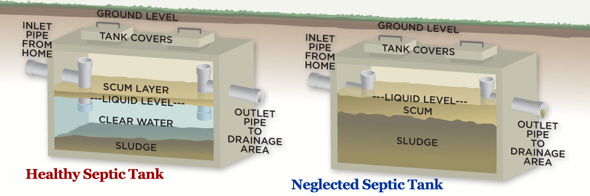 septic tank diagrams healthy tank and neglected tank